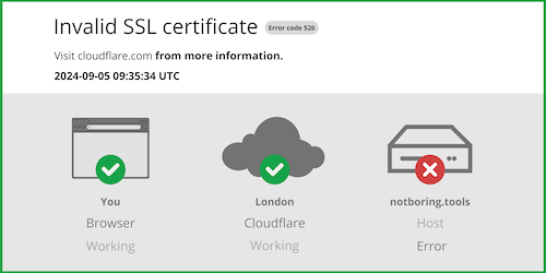 Invalid Origin SSL Certificate